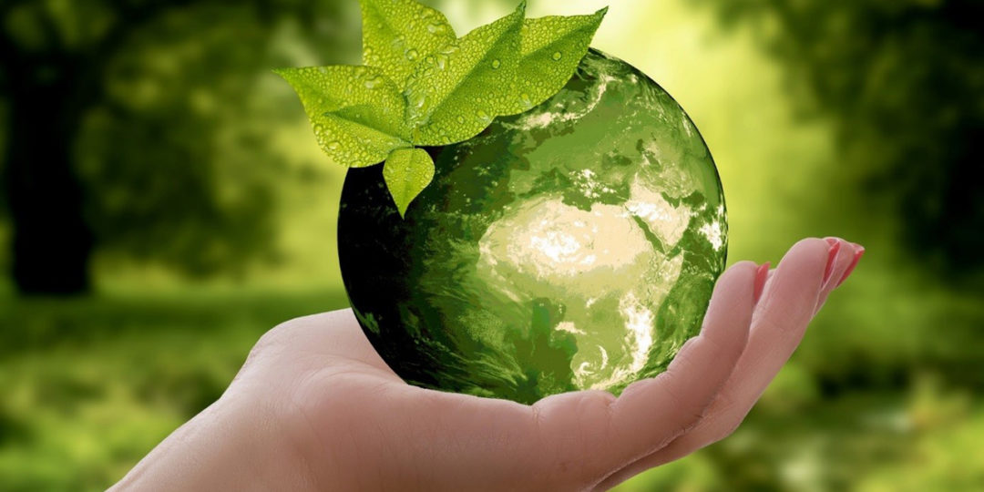 IMG-S_pg_Naturopathie 01_1280x853 IMG-S_pg_Naturopathie 01_1280x853