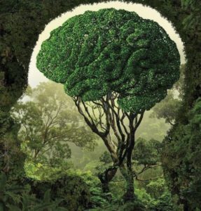IMG-S_pg_Naturopathie_Vitalisme 01